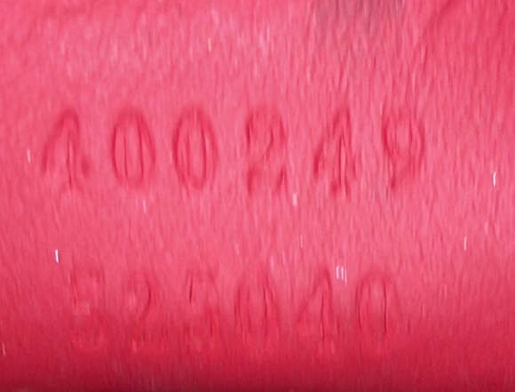 Gucci Dionysus Bag Gg Coated Canvas #210323G18B - Picture 7 of 7